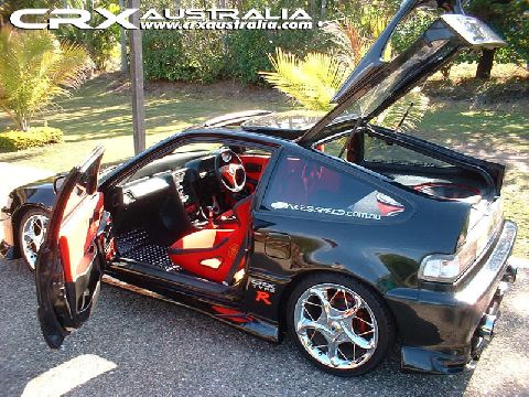 this is a pic of someone i met online from australia....this one is ten times nicer than the rex posted on the previous page.....peep this kidd.....