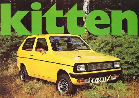 Reliant Kitten