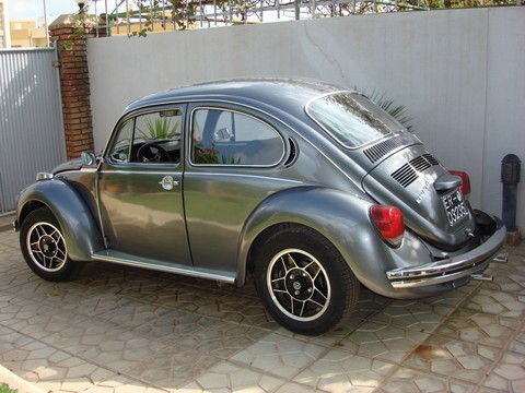 fs_dsc00142.jpg